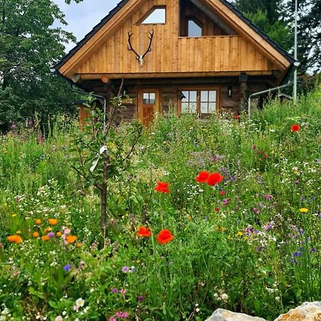 Blockhaus Panhuette Βίλα Braunlage Εξωτερικό φωτογραφία