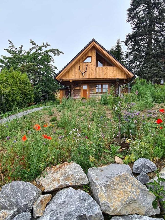 Blockhaus Panhuette Βίλα Braunlage Εξωτερικό φωτογραφία