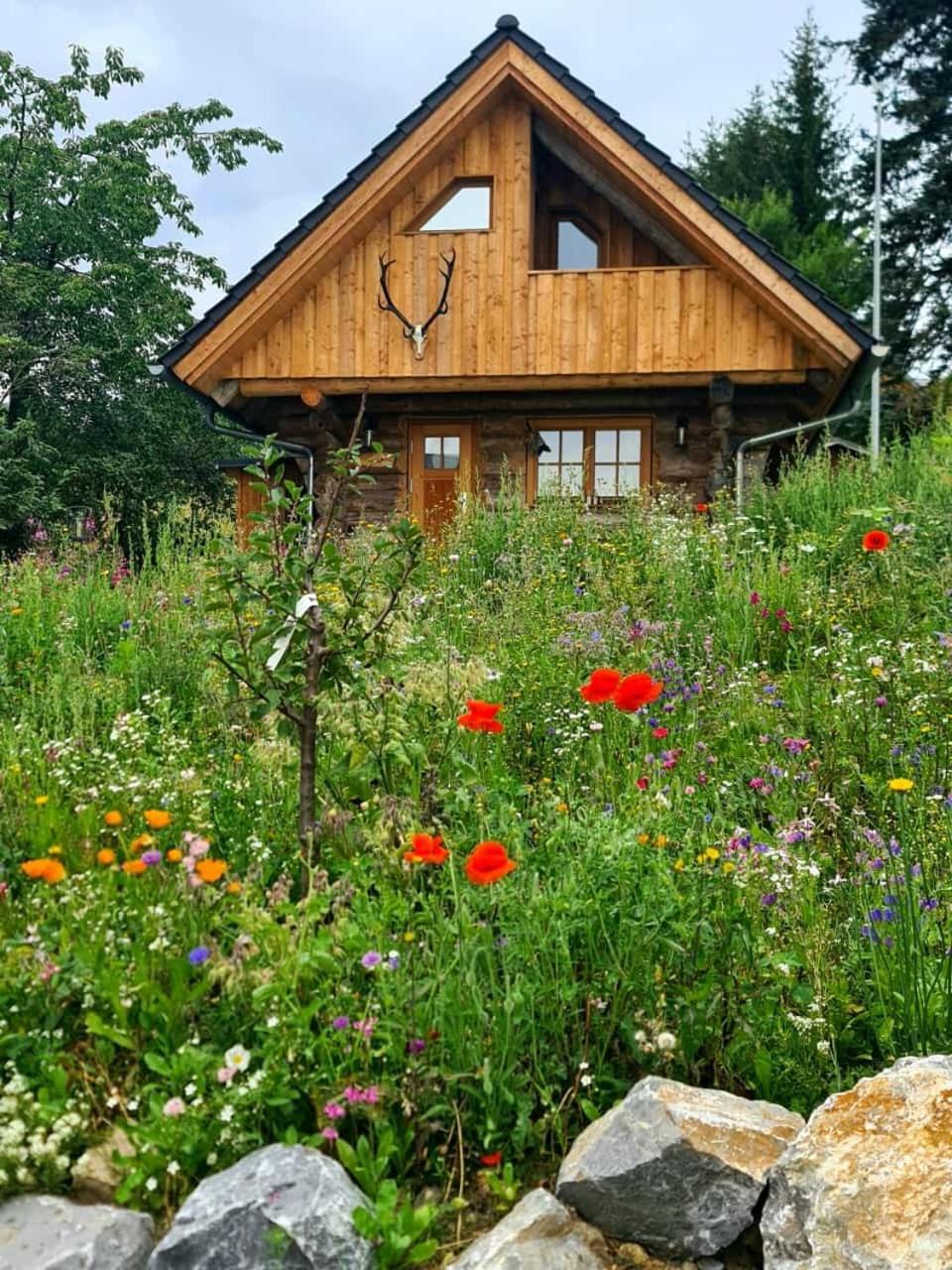 Blockhaus Panhuette Βίλα Braunlage Εξωτερικό φωτογραφία